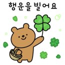 현대고수가스 이미지