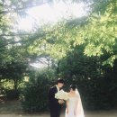 아워드레스 | 대전 드레스 대여 아워드레스 피팅, 대여 후기