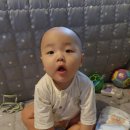 다샘피부관리 | 기저귀유목민, 밤기저귀 밤보네이처로 정착(네이처메이드,썸머,펨퍼스 사용 후)