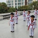 태낭태사 태권도 이미지