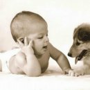 존스홉킨스 동물병원 이미지