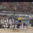 국시랑 묵밥 이미지