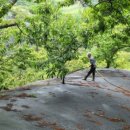 황금물결 농장 이미지