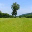 에코랜드CC 이미지