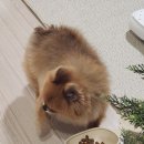 엄마의생활 이미지