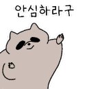 버블투어 이미지