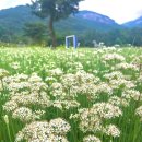 산들소리 파케어