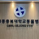 충북대학교 동물병원 이미지