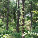 신의한수농장 이미지