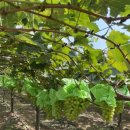 해경농장 이미지