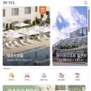 더케이호텔경주 | 더 케이 호텔 경주 애견 동반 숙소 룸서비스 포함 페텔 후기