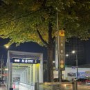 보문1 | 보문역 필라테스 보문동 시설 좋은 필라테스라인 체어 바렐 리포머 후기