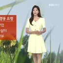 [날씨] 부산 대부분 ‘폭염중대경보’…야외 활동 주의! 이미지