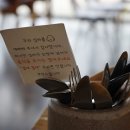 카카오 이미지