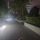야간순찰중 이미지