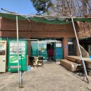 창녕반점 이미지