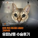 동물병원 유피 이미지