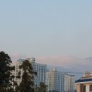 귤낭 이미지