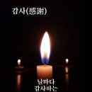 강화야채