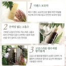 깡헤어 - 거창군 | 헤어오일 헤르모스 데미지 케어 컨센트레이트 헤어 에센스 사용 후기