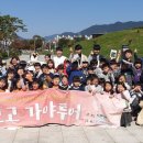 GOGO(고고)투어 이미지