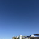 샌디 에이고] 힐튼 가든 인 샌디에이고 다운타운...Inn San Diego Downtown/Bayside) 호텔 추천 후기