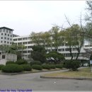 연세대학교 이미지