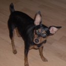 미니어처 우리집 이미지