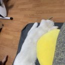 발모아 - 김제시 동서9길 17 | 발모아