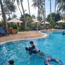 주헌 농장 | 제목: 어쩌다 네 식구 베트남 여행, 사막투어 하고 가실게요.