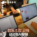 인투캣츠 이미지