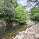 성진자연펜션 | 괴산 아이와 가볼만한 곳 촌캉스 경험하는 내려놓기펜션