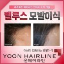 라인H 이미지