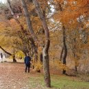 무학온천 이미지