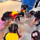 호정어린이집 이미지