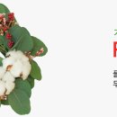 잇플라워