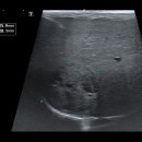 24시 성심동물메디컬센터 이미지