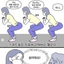 피티인 이미지