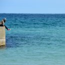 제주도 푸른밤 이미지