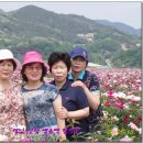 산골농원 이미지