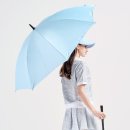프롬비 이미지