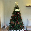 스테이 예악 이미지