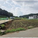 양평부자공인중개사사무소 이미지