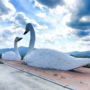 남파랑길 82코스 (2025. 8. 27) 이미지