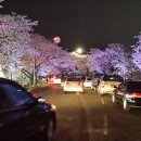 김유신장군로 이미지