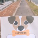 포항중앙동물병원 이미지