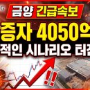 (주)금양기업 네이버블로그