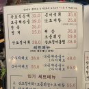 오징어연가 이미지