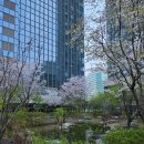 콸 | 역삼 솥밥 친구랑 먹은 솥내음 스테이크,연어장솥밥 후기