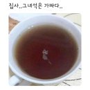 서영카페